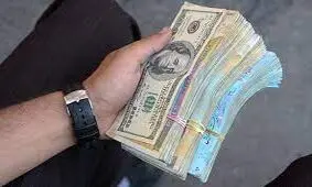 دلار به ۱۷ هزارتومان می‌رسد / کاهش قیمت ارز کار دولت نبود، کرونا دلار را پایین کشید