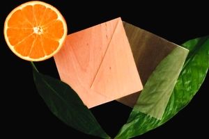 استفاده از پوست پرتقال در تولید چوب شفاف "سازگار با محیط زیست"