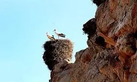 قلعه لک‌لک‌‌های زنجان/ به روایت تصویر