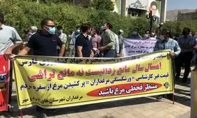 مرغ صدای تولید کننده‌ها را هم درآورد/ خطر کمبود جوجه در مرغداری‌ها