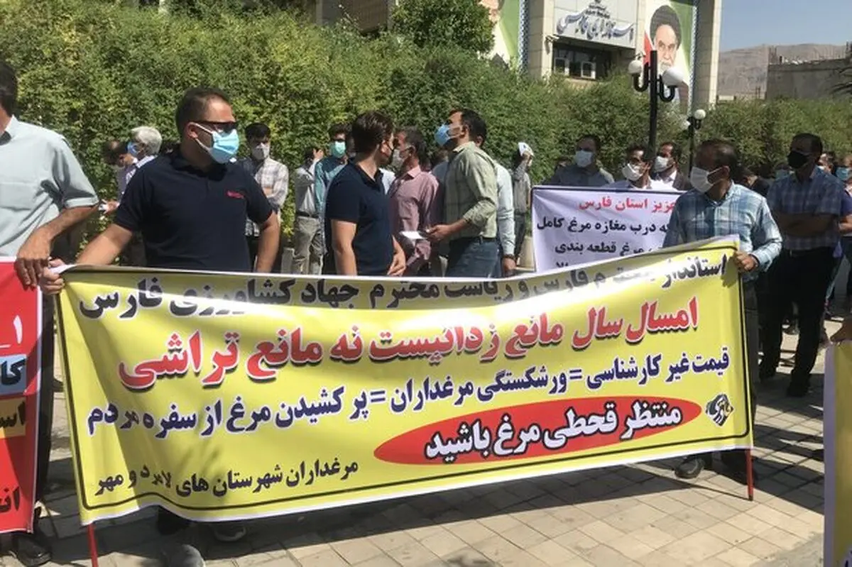 مرغ صدای تولید کننده‌ها را هم درآورد/ خطر کمبود جوجه در مرغداری‌ها