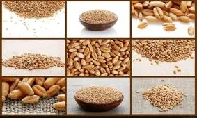 خوراکی‌های مفید برای قبل و بعد از دریافت واکسن کرونا