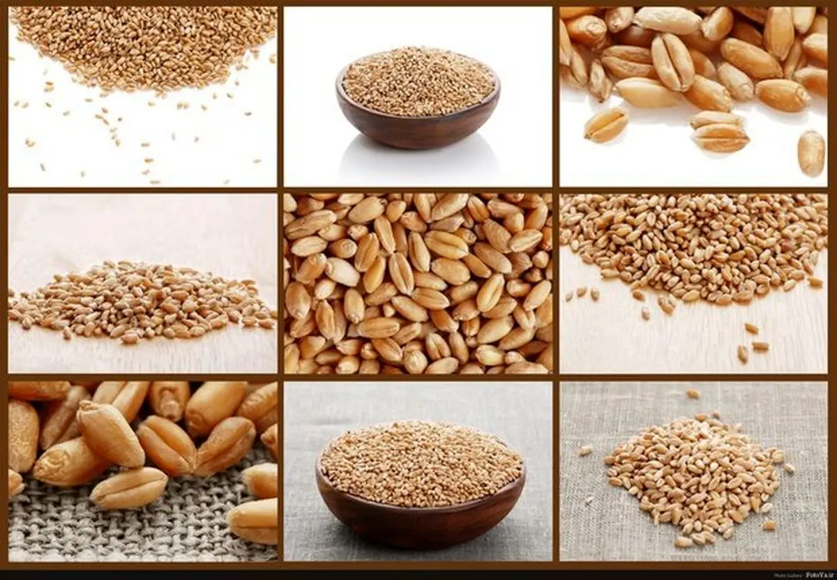 خوراکی‌های مفید برای قبل و بعد از دریافت واکسن کرونا