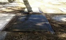 مقبره طغرل سینمای ایران+عکس