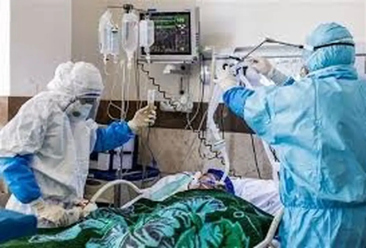 یزد جزو سه استان برتر رعایت نکات بهداشتی شناخته شد