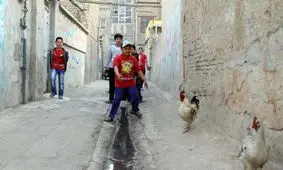 خطری که سلامت مغزی کودکان پایین شهر را تهدید می‌کند