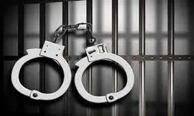 زندان، پایان راه کلاهبرداران میلیاردی در بجنورد