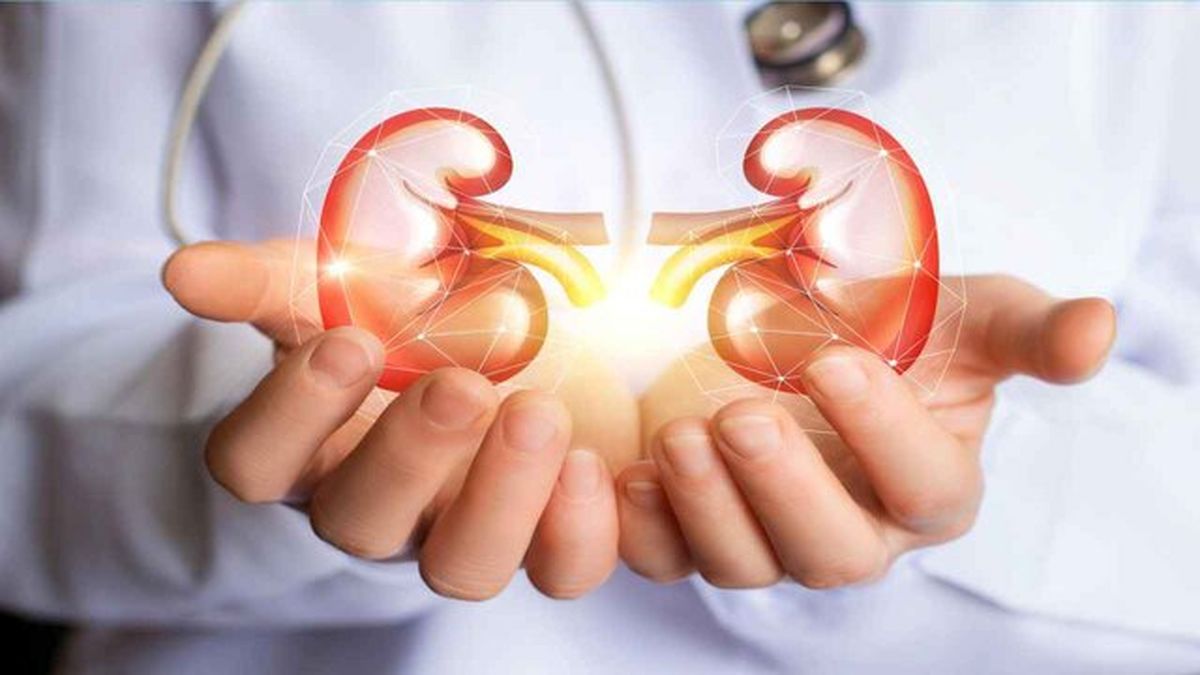 تغییرات پروتئینی، عامل مهم پیر شدن کلیهها هستند