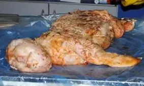 راستی آزمایی تاریخ در جانوران آدم نما/ تصاویر