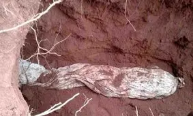 دستگیری؛ نتیجه اقدام عجیب یک زن در خاکسپاری نامزدش