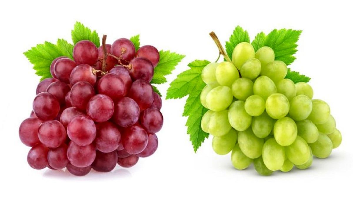 خوردن این میوه تابستانی حکم ضد آفتاب را دارد