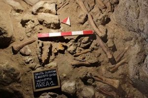 بقایای ۹ نئاندرتال در غاری نزدیک رم ایتالیا کشف شد/ تصاویر