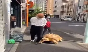 بُن چان؛ رفیق ۲۵ ساله/ ویدئو