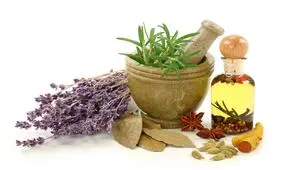 باید و نبایدهای طب سنتی برای بهار