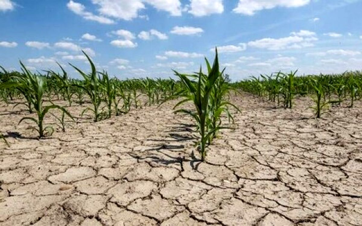 خشکسالی بیش از ۲۱ هزار میلیارد ریال به کشاورزی کردستان خسارت زد