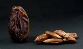 اگر فواید هسته خرما را بدانید آن را دور نمی‌اندازید