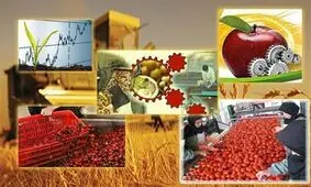 صنایع بسته‌بندی در استان آذربایجان‌غربی وجود ندارد