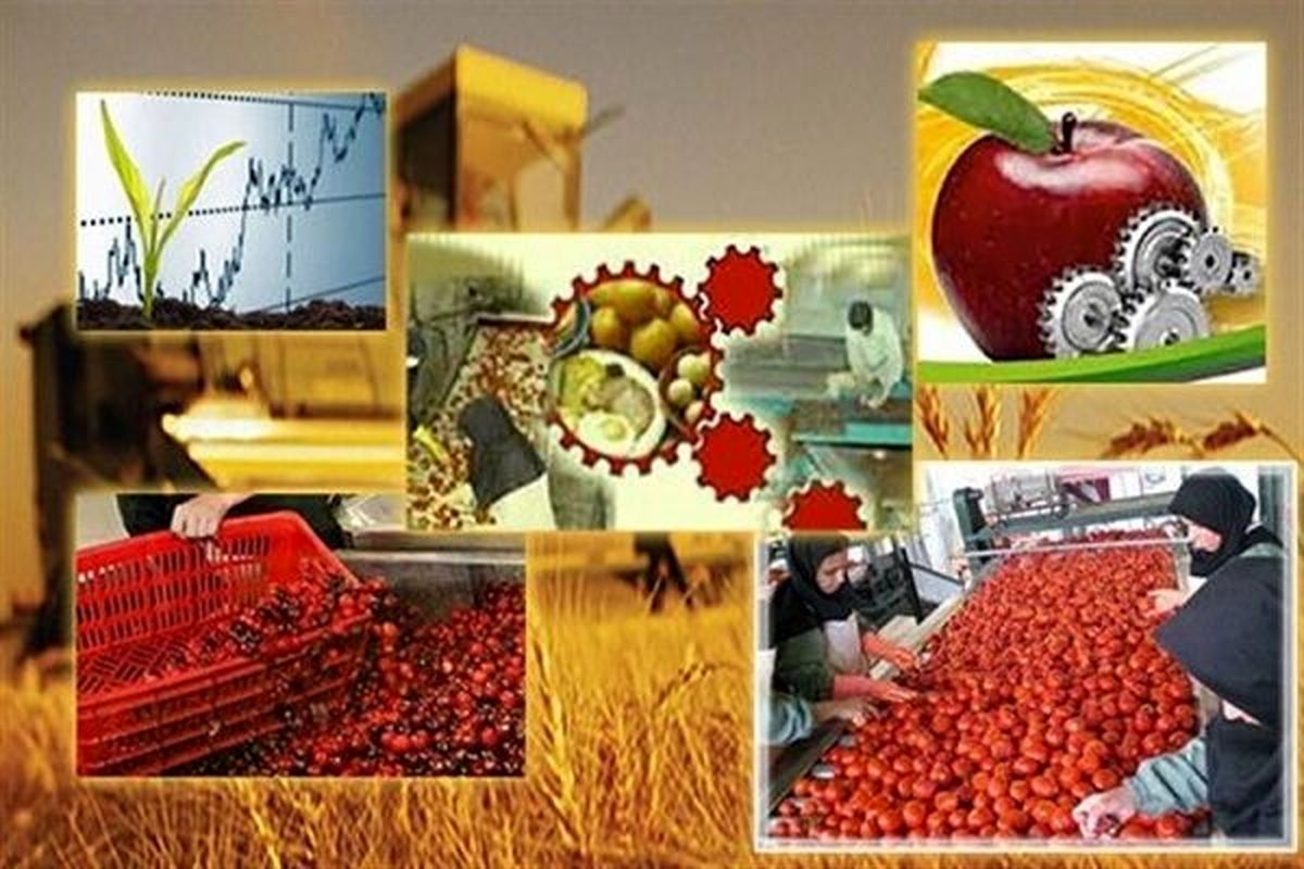 صنایع بستهبندی در استان آذربایجانغربی وجود ندارد