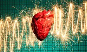 چرا حیوانات دچار حمله قلبی نمی‌شوند؟