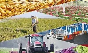 تلاش کشاورزان قمی برای اصلاح الگوی کشت و تکمیل زنجیره تولید