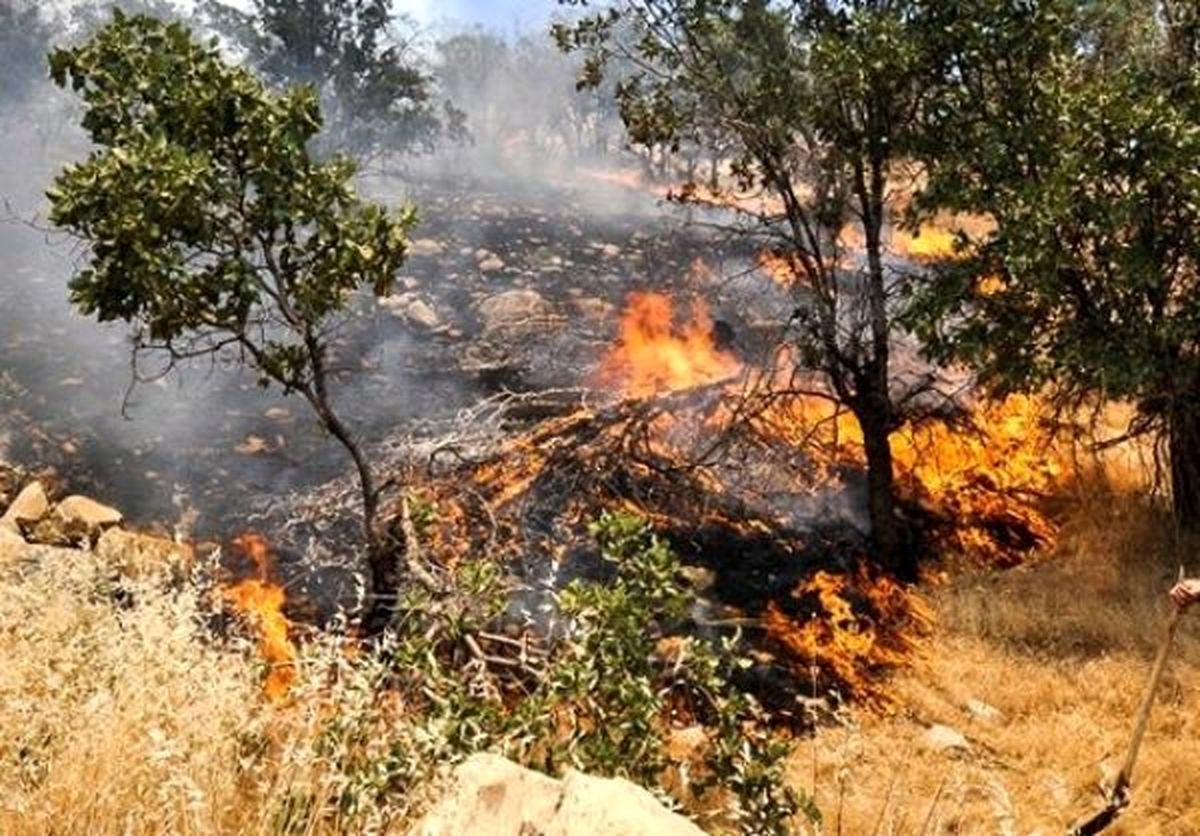 آتش‌سوزی گسترده در منطقه جنگلی بان‌خشک ایلام/ تلاش برای مهار آتش