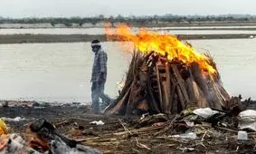 رها کردن اجساد قربانیان کرونا در رودخانه گنگِ هند