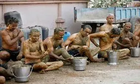 حمام با فضولات گاو برای محافظت در برابر کرونا/ ویدئو