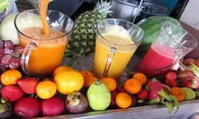 تولید مواد غذایی انرژی زا با استفاده از صمغ گیاهان بومی