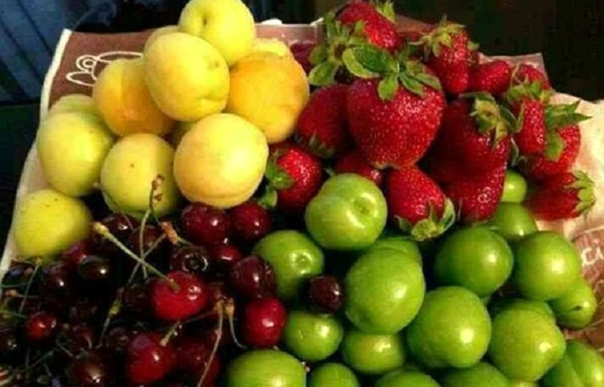 میوه ارزان می شود/ حداکثر قیمت هر کیلو زردآلو ۵۵ هزار تومان