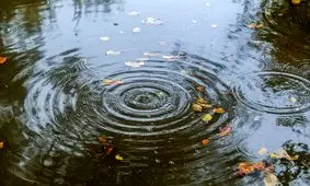 کاهش ۴۰ درصدی بارش‌ها در سال آبی جاری