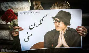 ماهی که با صدای مرتضی پاشایی «عسل» شد/ نگران منی که نگیره دلم...