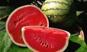 این میوه پرآب ضدسرطان را زیاد مصرف کنید