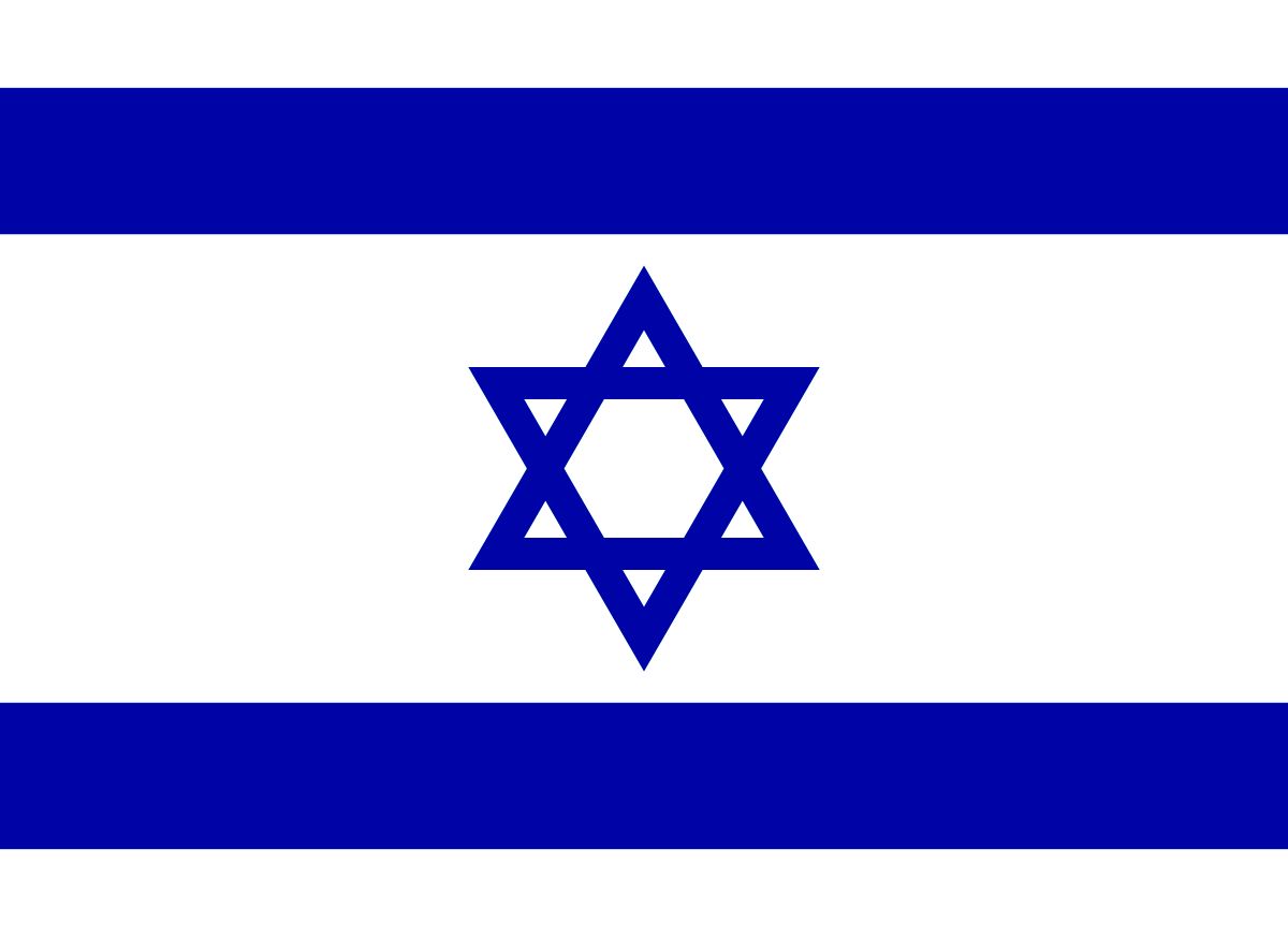 پاره کردن پرچم اسرائیل توسط کلاغ/ ویدئو