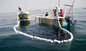 صید برخی از آبزیان در آب‌های هرمزگان ممنوع شد