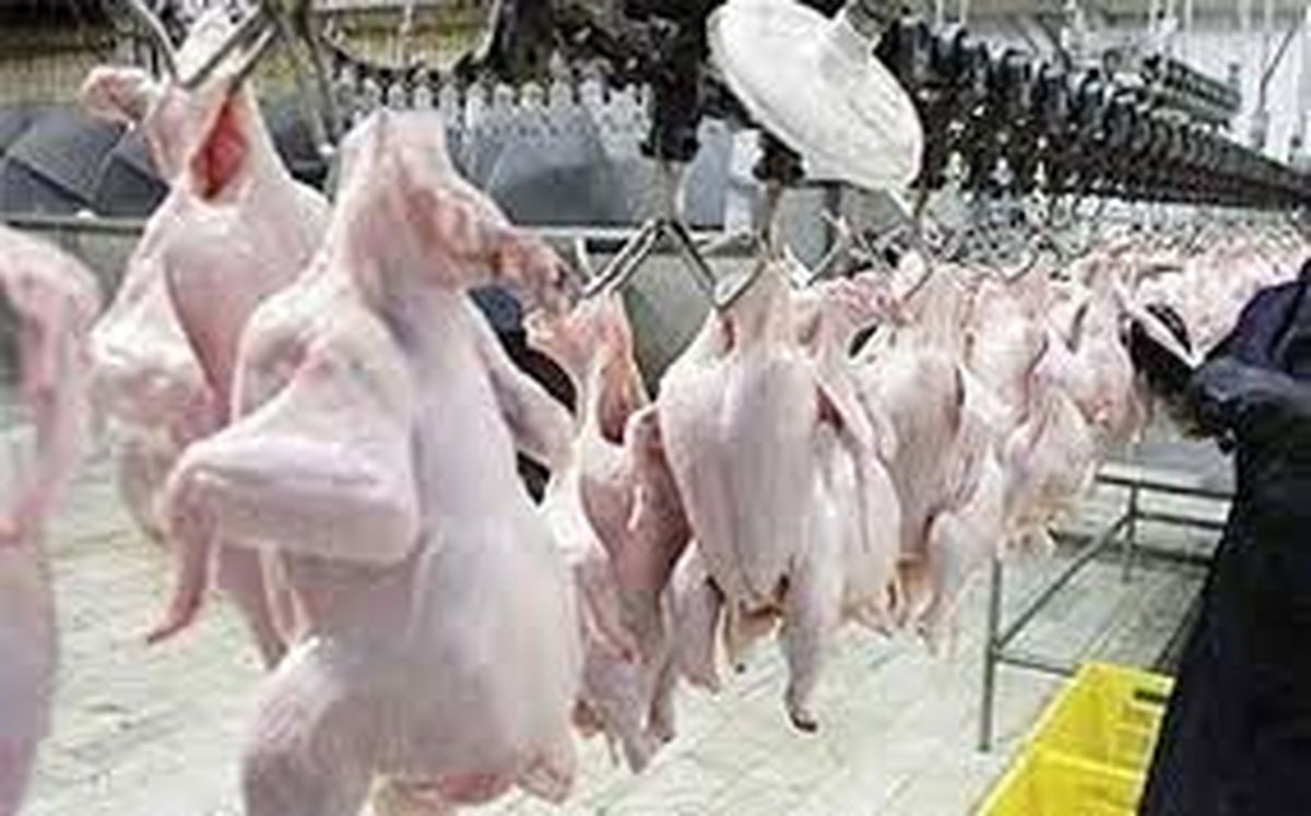 تشکیل حدود ۷ میلیارد تومان پرونده تخلفاتی برای واحدهای کشتار و توزیع مرغ در یزد