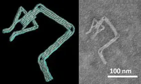 طراحی نانوربات "دی.ان.ای" با نرم‌افزار محققان دانشگاه اوهایو