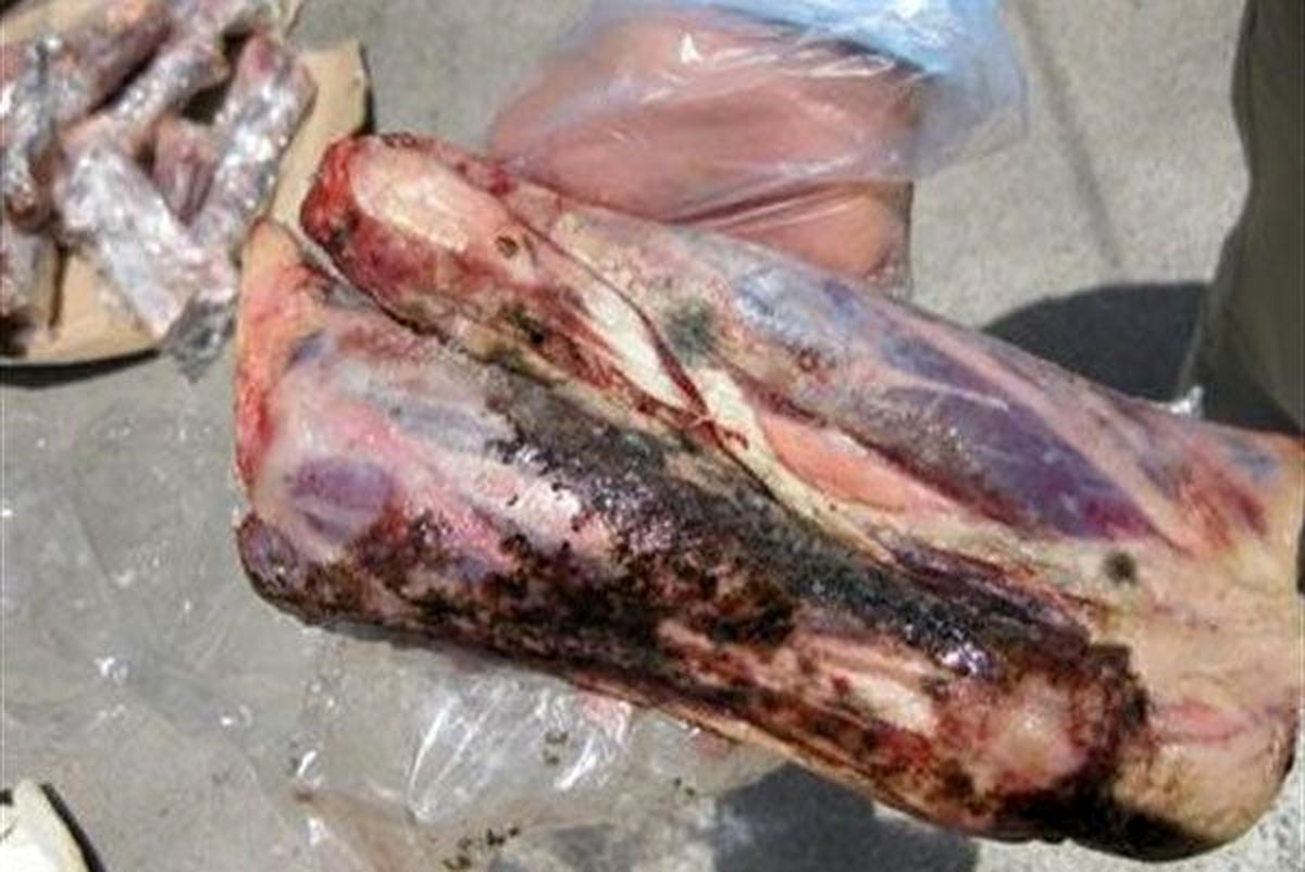 کشف بیش از ۲ تن گوشت فاسد از کبابی معروف