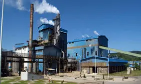 احیای صنایع چوب و کاغذ مازندران در آینده‌ ای نزدیک