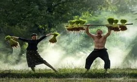 تقسیم کار جنسیتی بین زن و مرد، معلول چیست؟