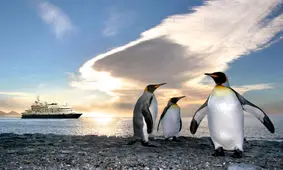 سایه پنگوئن‌ها در فضا