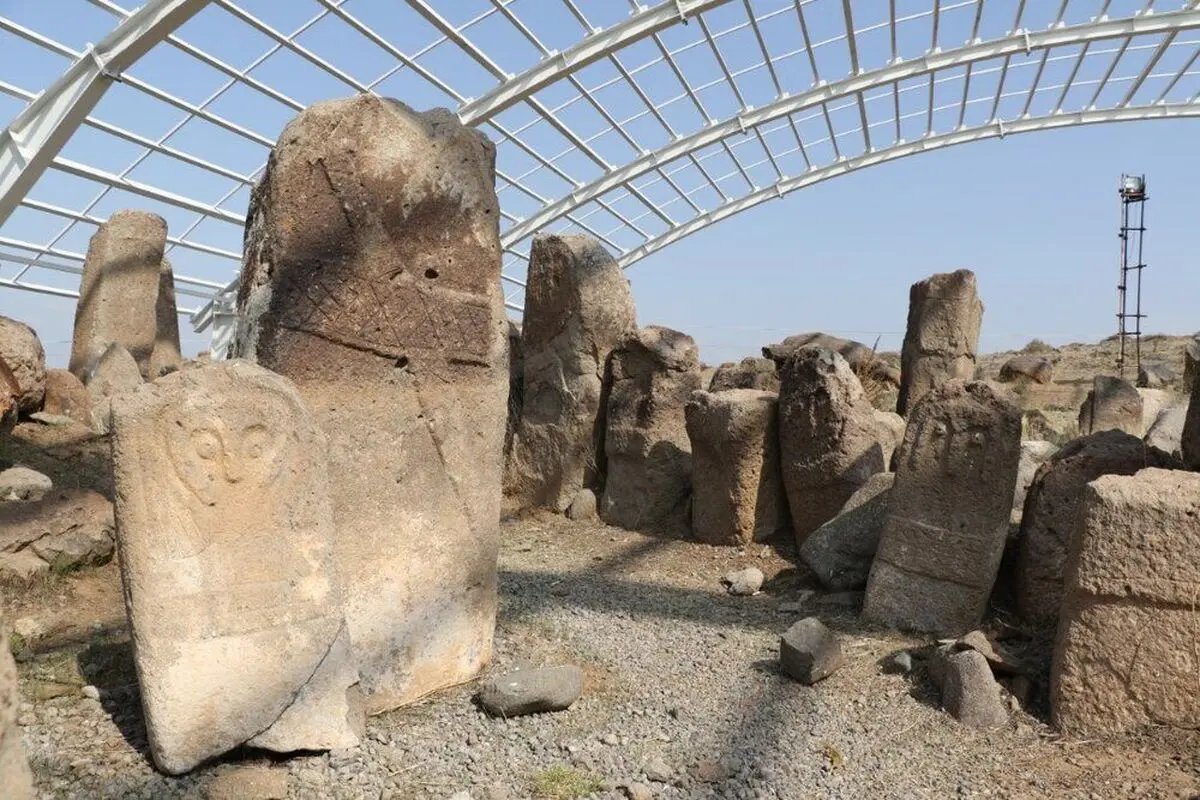 سایبانی برای مردان سنگی شهریئری