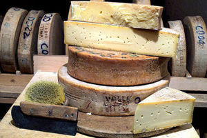 معرفی مشهورترین پنیر‌های دنیا؛ از پنیر الاغ تا پنیر گوزن