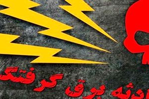 ۲ کارگر هنگام جمع‌آوری تجهیزات کارخانه بازیافت کاغذ، جان‌ باختند