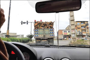 ۱۰۰ میلیارد تومان گردش مالی قاچاق چوب در ایران
