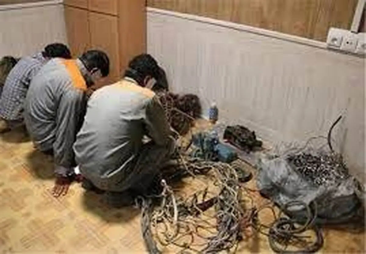 دستگیری باند سارقین کابل برق در قروه