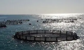 اختصاص آب شور برای توسعه شیلات در خوزستان
