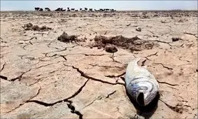 نکاتی درباره خشکسالی هواشناسی/تبعات اجتماعی و اقتصادی خشکسالی چیست؟