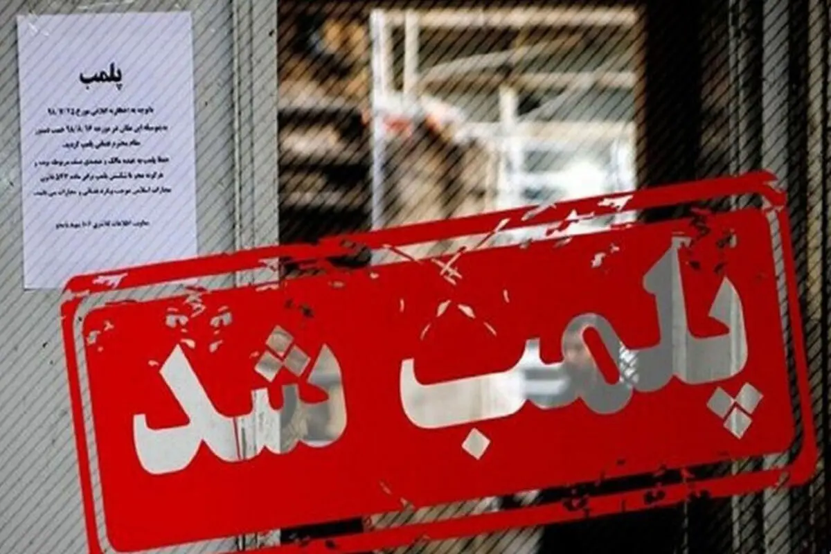 پلمب ۳۰ واحد نانوایی به علت گرانفروشی