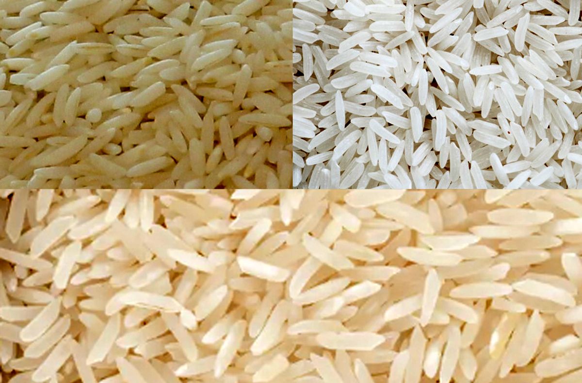 تنها راه تشخیص برنج ایرانی اصل از برنج مخلوط