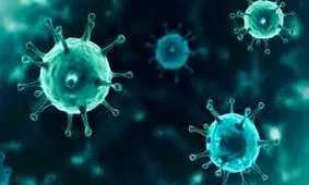 خطر اوج‌گیری شیوع سویه هندی ویروس کرونا در خراسان رضوی